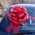 MEGA Giant Car Bow (42cm diameter) with 6m Ribbon - METALLIC RED