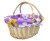 Natural Wicker Shopping Basket with Folding Handles and Purple Butterfly & Bees Lining- 41cm